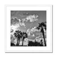 Palm Tree Silhouettes  Framed & Mounted Print