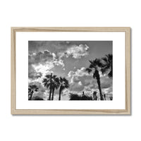 Palm Tree Silhouettes  Framed & Mounted Print