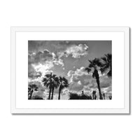 Palm Tree Silhouettes  Framed & Mounted Print