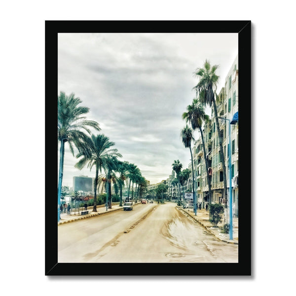 Palm Tree Drive Framed Print