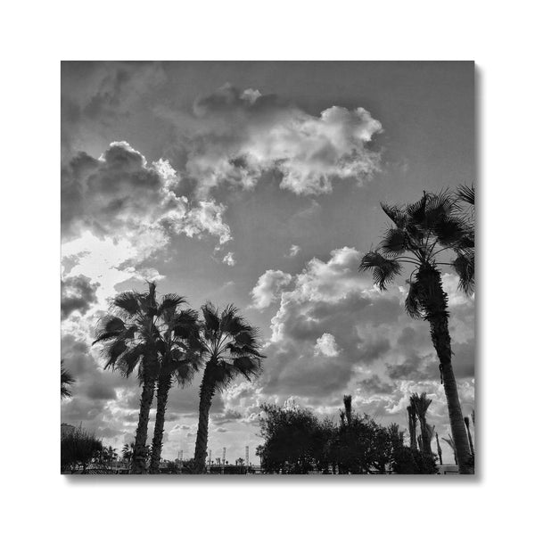 Palm Tree Silhouettes  Canvas