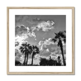 Palm Tree Silhouettes  Framed & Mounted Print